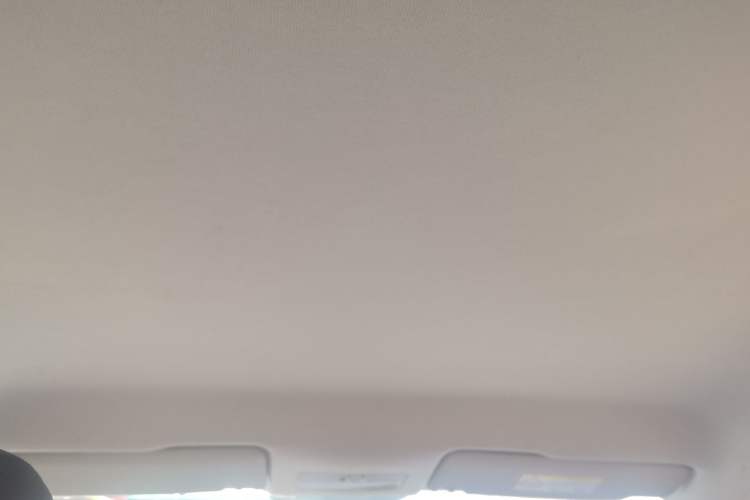 Used Skoda Rapid 2018 1.4L Manual Standard Edition Headliner
