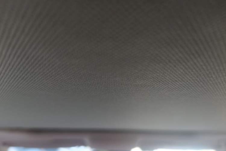 Used Skoda Rapid 2018 1.6L Manual Comfort Edition Headliner
