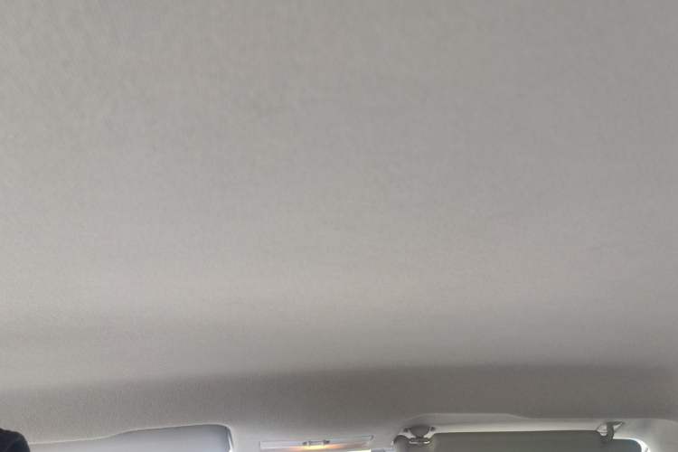 Used Skoda Rapid 2018 1.6L Manual Standard Edition Headliner
