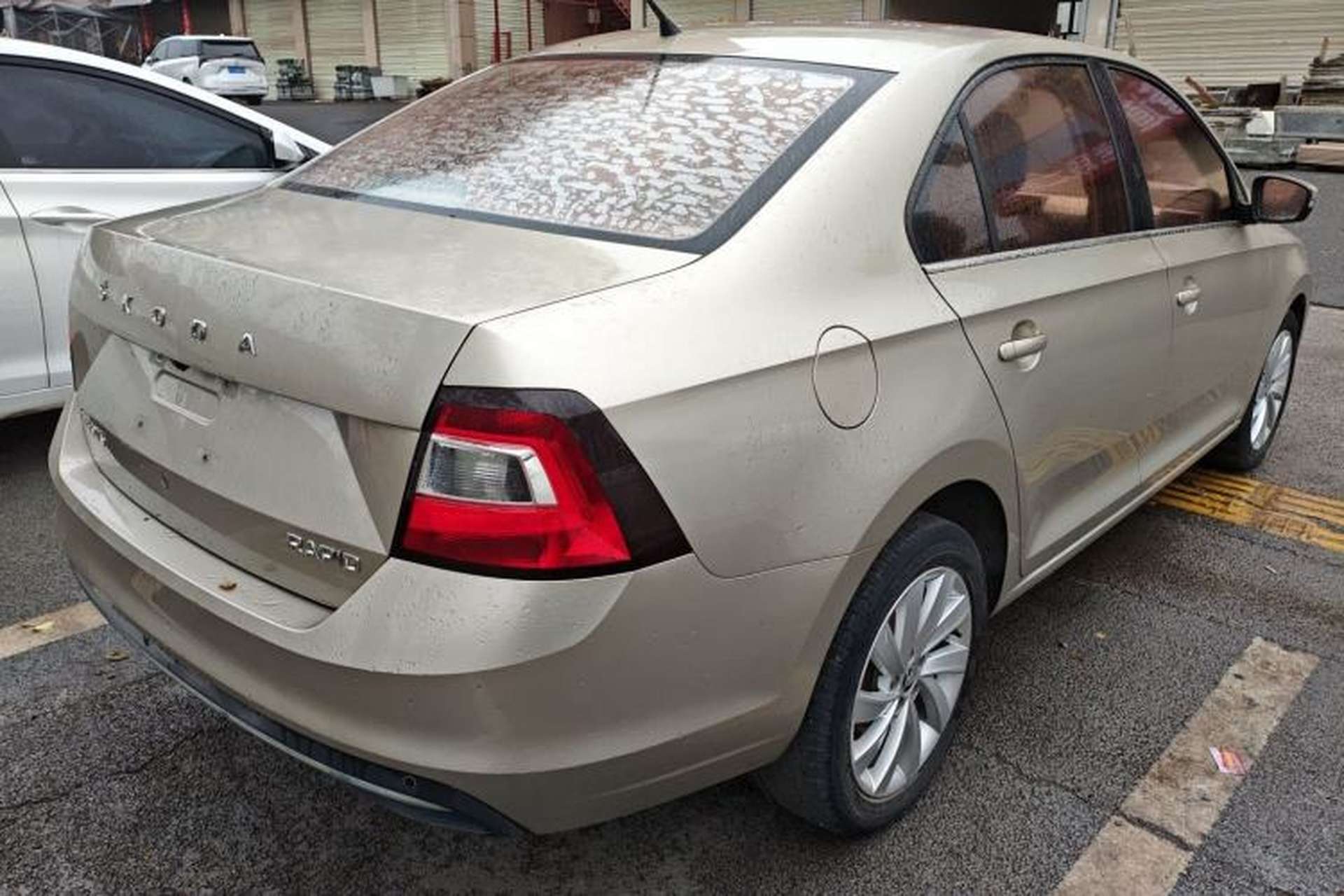 Used Skoda Rapid 2019 1.5L Automatic Comfort Edition China V Standard Rear Right 45 Deg