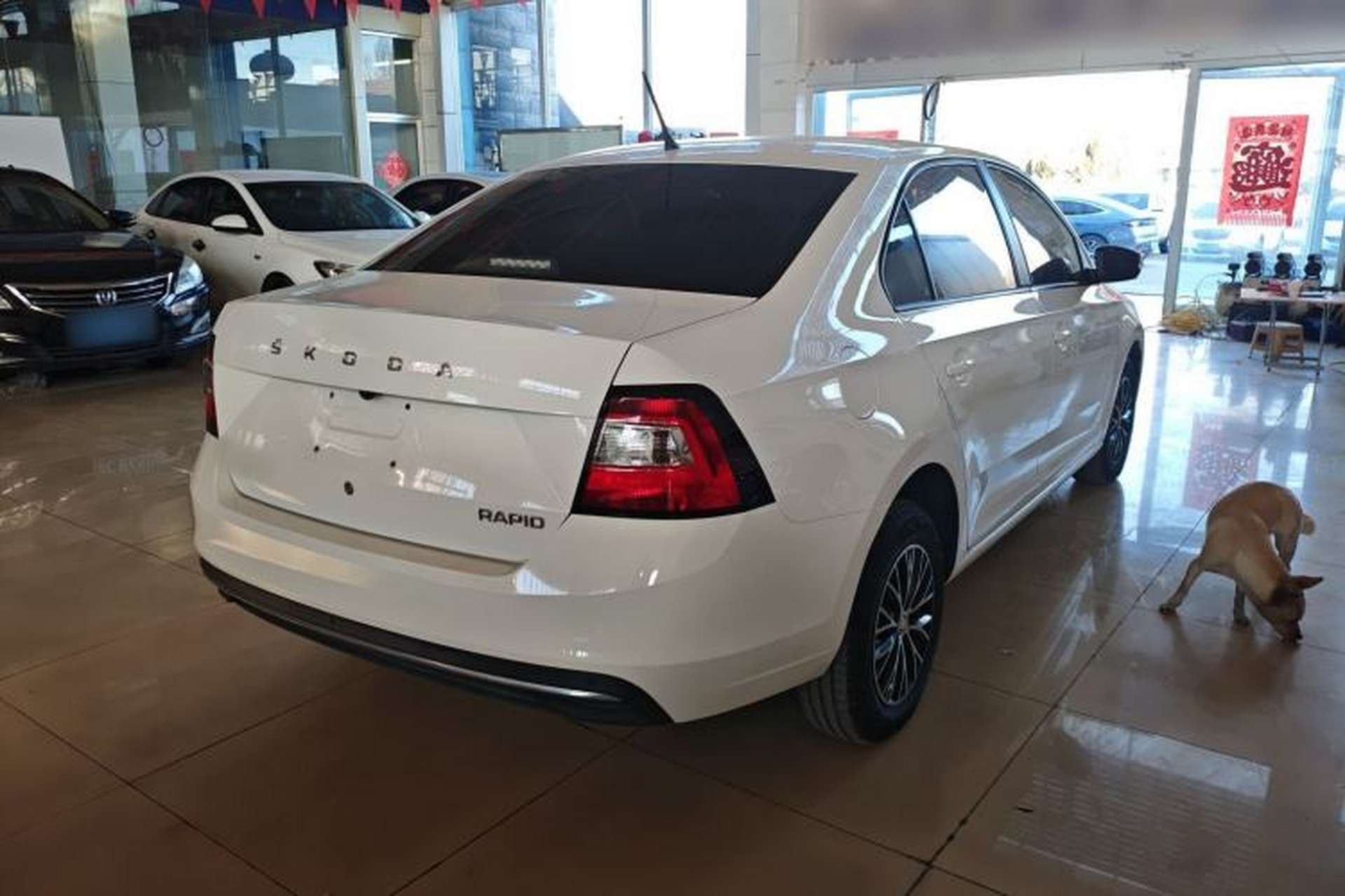 Used Skoda Rapid 2019 Revised Version 1.5L Manual Standard Edition China VI Exterior 5
