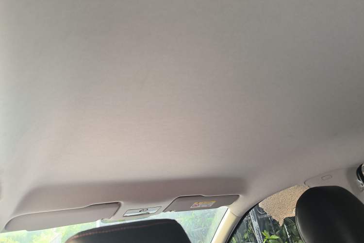 Used Skoda Rapid 2019 1.5L Automatic Standard Edition Headliner