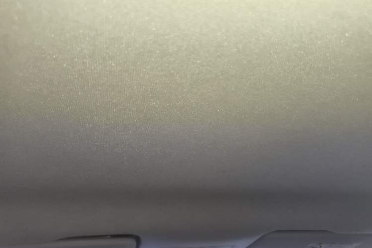 Used Skoda Rapid 2019 1.5L Manual Standard Edition Headliner