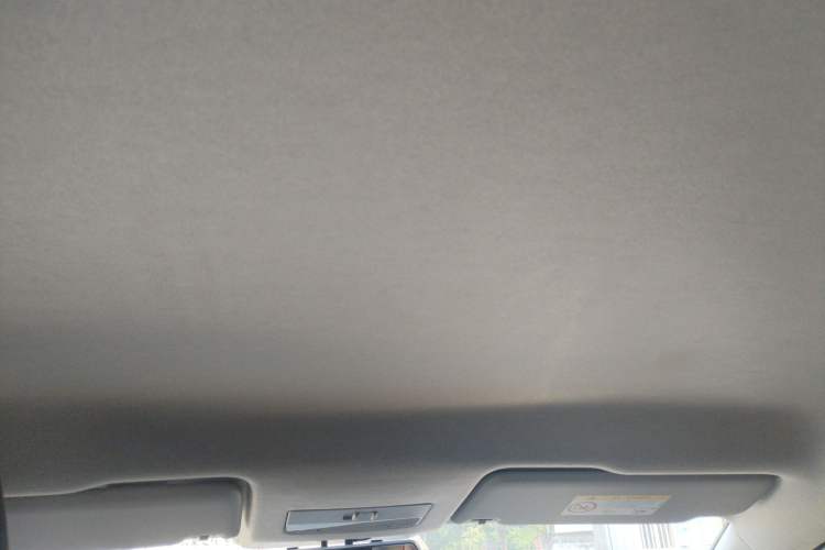 Used Skoda Rapid 2019 Revised Version 1.5L Automatic Standard Edition China VI Headliner