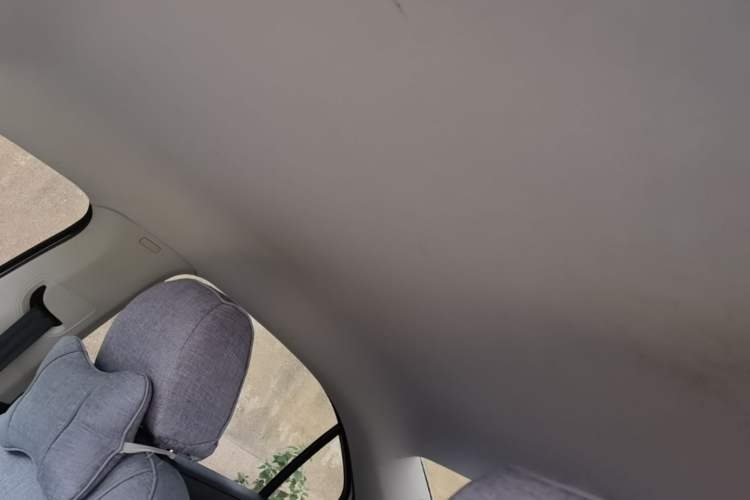 Used Skoda Rapid 2019 1.5L Manual Standard Edition Headliner