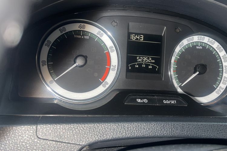 Used Skoda Rapid 2019 1.5L Automatic Comfort Edition China VI Standard Odometer Close Up