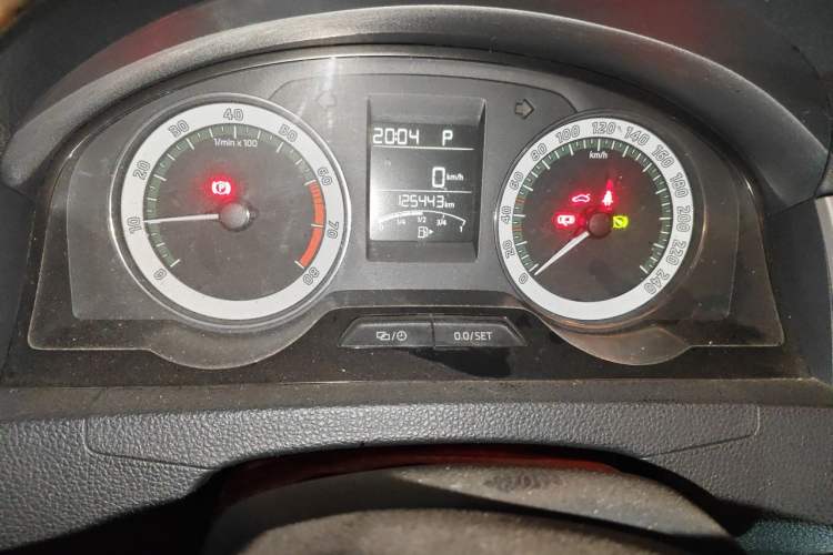 Used Skoda Rapid 2019 1.5L Automatic Comfort Edition China V Standard Odometer Close Up