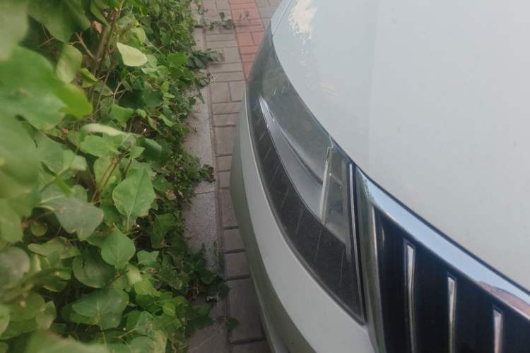 Used Skoda Rapid 2019 1.5L Automatic Comfort Edition China V Standard Right Front Headlight