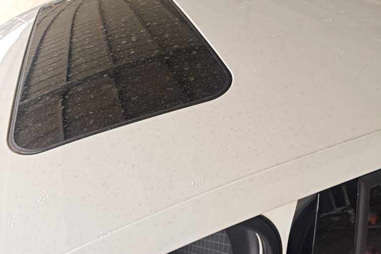 Used Skoda Rapid 2019 1.5L Automatic Comfort Edition China VI Standard Roof