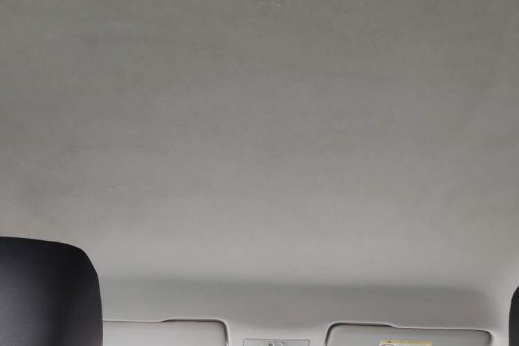 Used Skoda Rapid 2019 1.5L Automatic Standard Edition Headliner