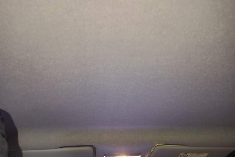 Used Skoda Rapid 2020 1.5L Automatic Standard Edition Headliner