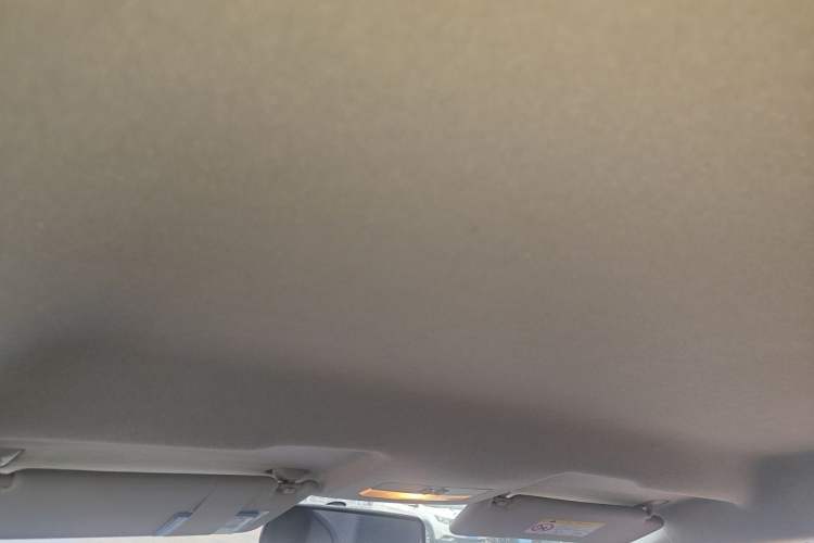 Used Skoda Rapid 2020 1.5L Automatic Standard Edition Headliner
