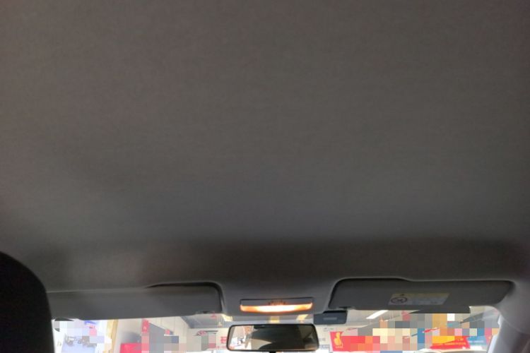 Used Skoda Rapid 2020 1.5L Manual Standard Edition Headliner