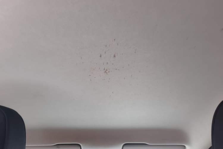 Used Skoda Rapid 2020 1.5L Manual Standard Edition Headliner