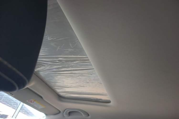 Used Skoda Rapid 2020 1.5L Automatic Comfort Edition Headliner