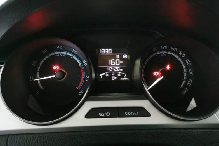 Used Skoda Rapid 2020 1.5L Manual Comfort Edition Odometer Close Up