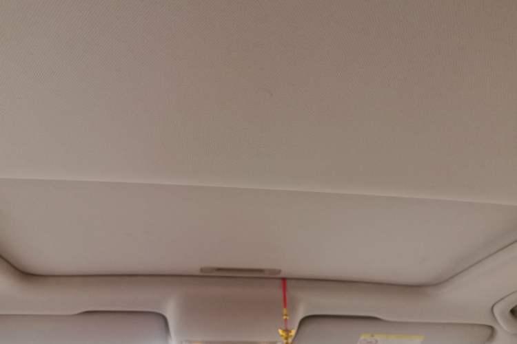 Used Skoda Rapid 2020 1.5L Automatic Comfort Edition Headliner