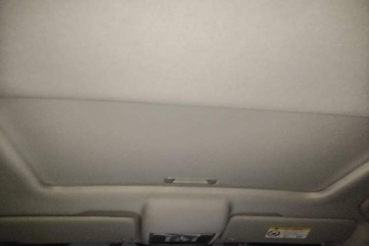 Used Skoda Rapid 2022 1.5L Automatic Comfort Edition Headliner