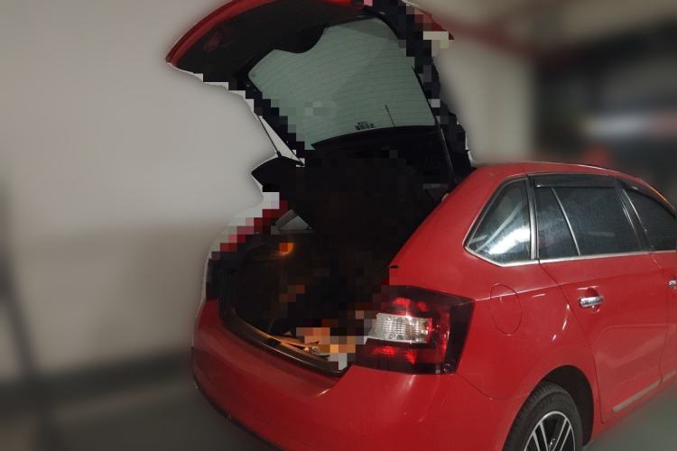 Used Skoda Rapid Spaceback 2014 1.6L Manual Enjoyment Edition Trunk