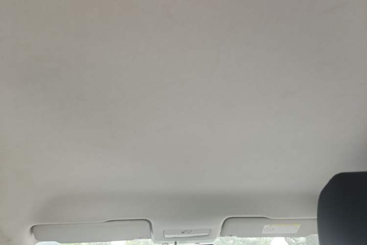 Used Skoda Rapid Spaceback 2016 Revised Version 1.6L Automatic Front-Drive Edition Headliner