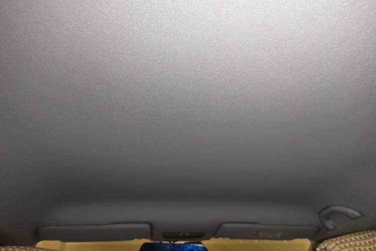 Used Skoda Rapid Spaceback 2018 1.6L Manual Standard Edition Headliner
