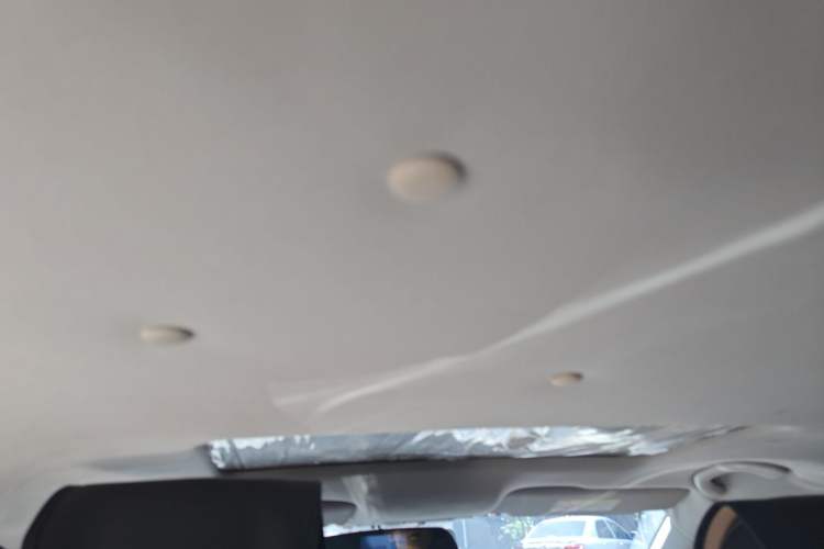 Used Skoda Rapid Spaceback 2018 1.6L Automatic Comfort Edition Headliner