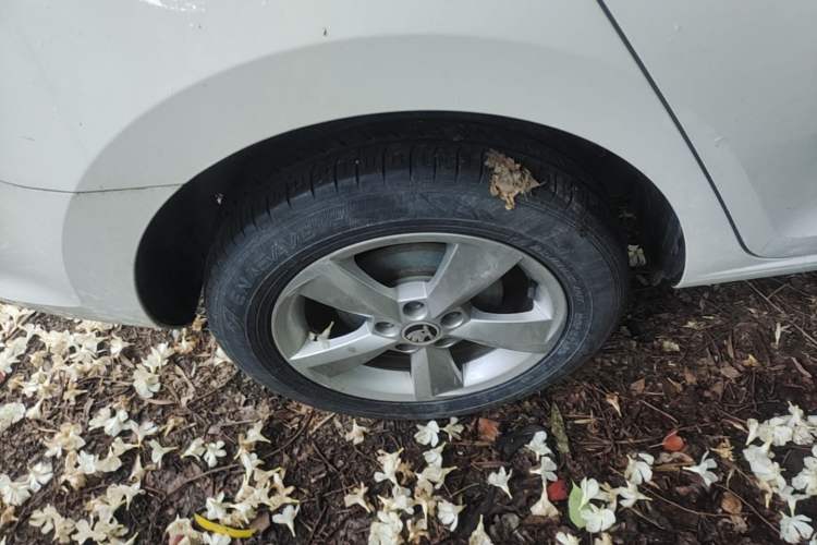 Used Skoda Rapid Spaceback 2019 1.5L Automatic Comfort Edition Exterior 3