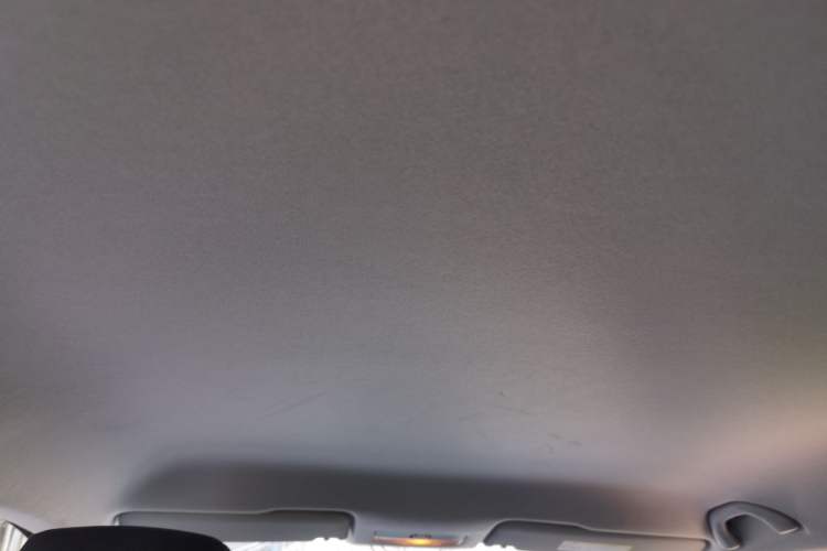 Used Skoda Rapid Spaceback 2019 1.5L Manual Standard Edition Headliner