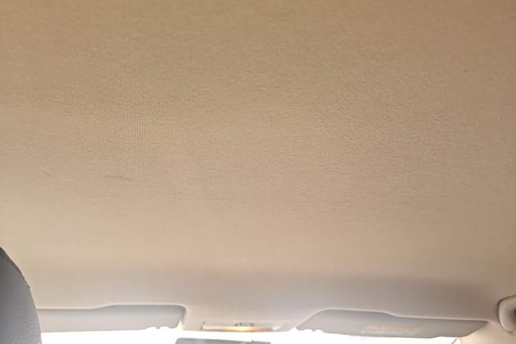 Used Skoda Rapid Spaceback 2019 1.5L Automatic Standard Edition Headliner