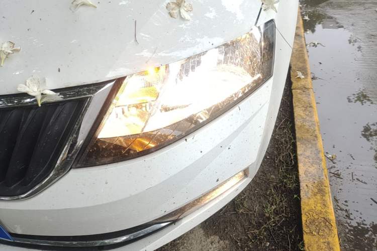 Used Skoda Rapid Spaceback 2019 1.5L Automatic Comfort Edition Left Front Headlight