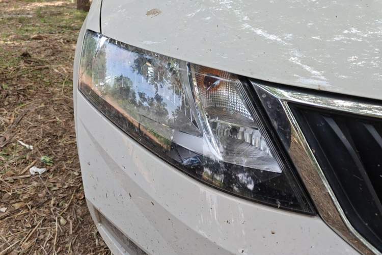 Used Skoda Rapid Spaceback 2019 1.5L Manual Comfort Edition Right Front Headlight