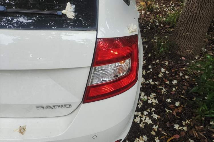 Used Skoda Rapid Spaceback 2019 1.5L Automatic Comfort Edition Right Rear Taillight