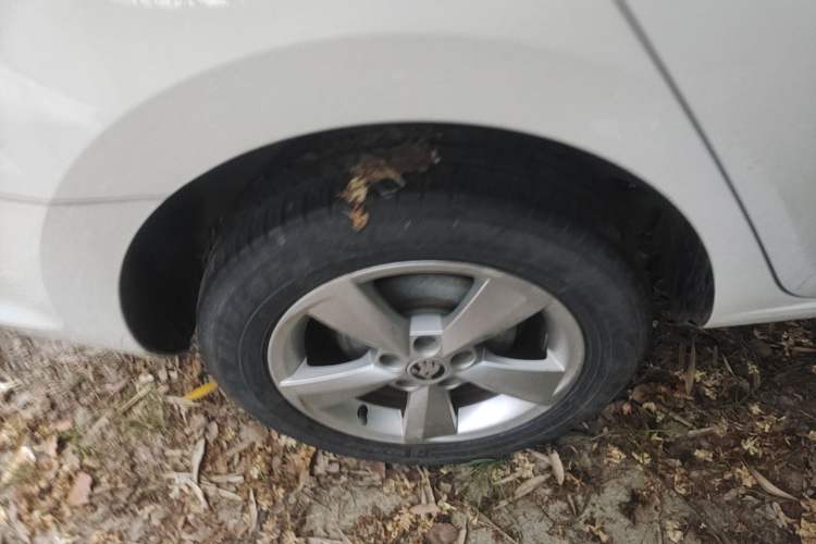Used Skoda Rapid Spaceback 2019 1.5L Automatic Comfort Edition Right Rear Wheel Hub