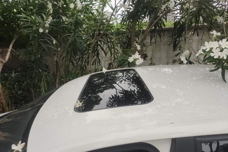 Used Skoda Rapid Spaceback 2019 1.5L Automatic Comfort Edition Roof