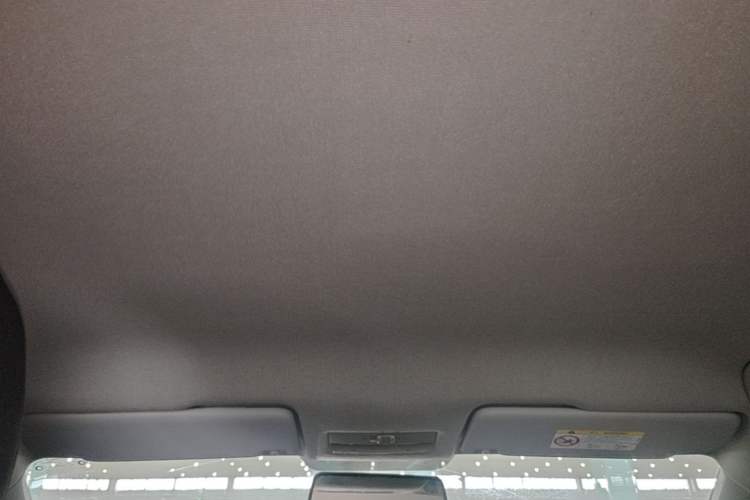Used Skoda Rapid Spaceback 2020 1.5L Automatic Standard Edition Headliner