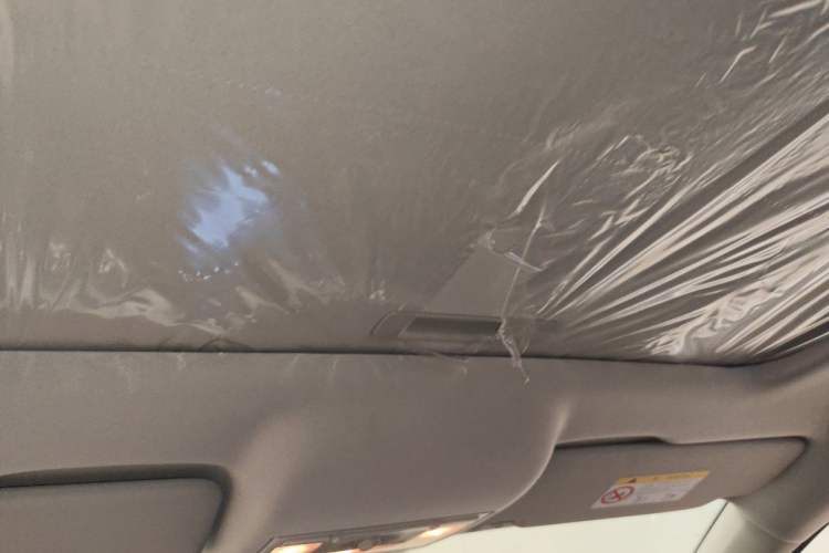 Used Skoda Rapid Spaceback 2020 1.5L Automatic Comfort Edition Headliner