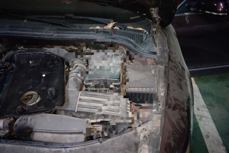 Used Skoda Superb 2009 1.8TSI Automatic Luxury Edition Engine Bay Left