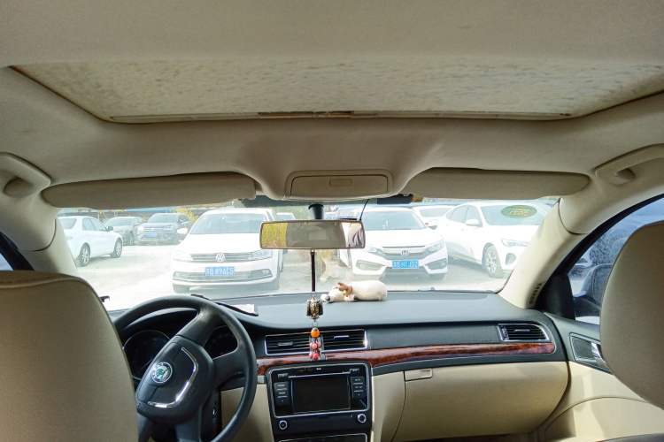 Used Skoda Superb 2009 1.8TSI Automatic Elegant Edition Headliner