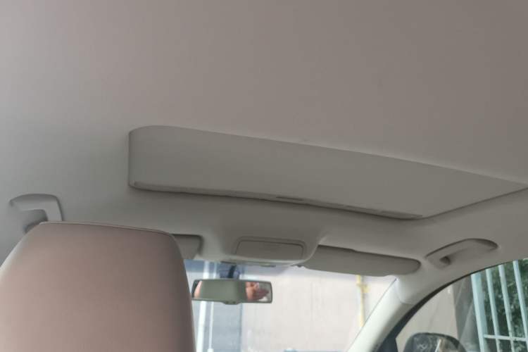 Used Skoda Superb 2009 2.0 TSI Automatic Luxury Edition Headliner