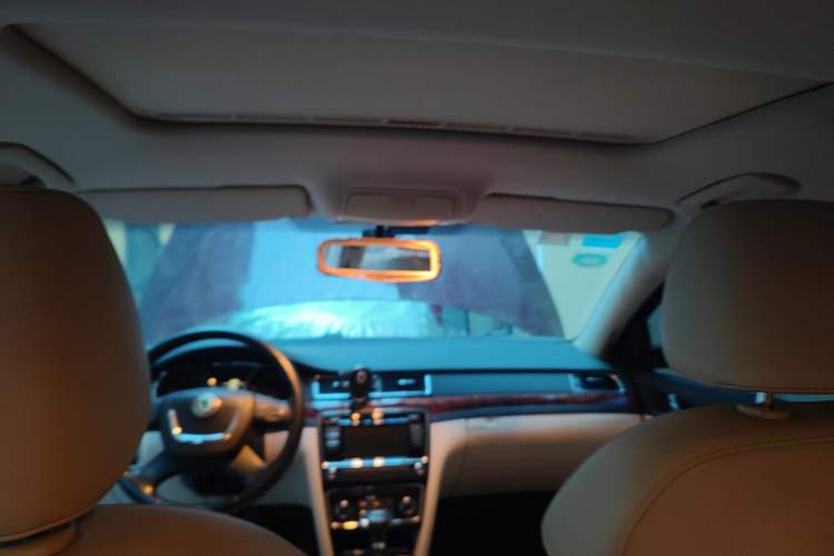 Used Skoda Superb 2009 1.8TSI Automatic Prestige Edition Headliner