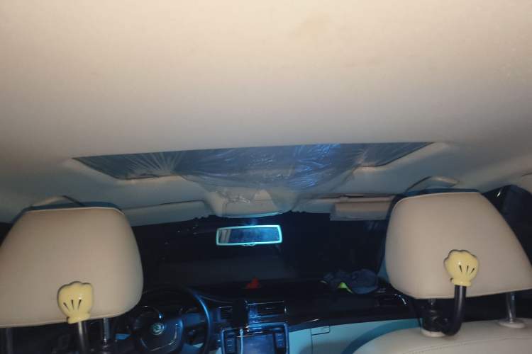 Used Skoda Superb 2010 1.4 TSI DSG Elegant Edition Headliner