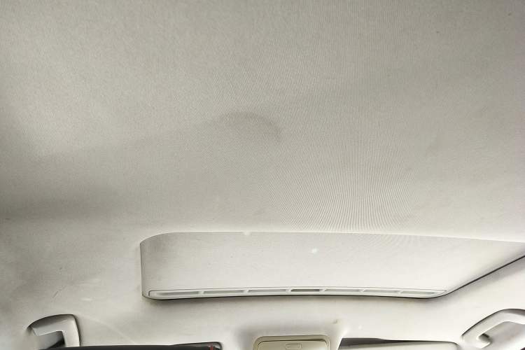 Used Skoda Superb 2010 1.4 TSI DSG Elegant Edition Headliner