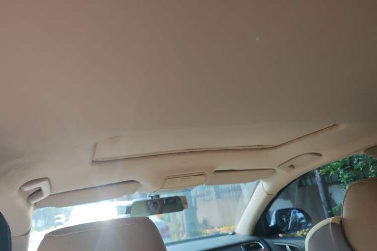 Used Skoda Superb 2010 1.4 TSI DSG Elegant Edition Headliner