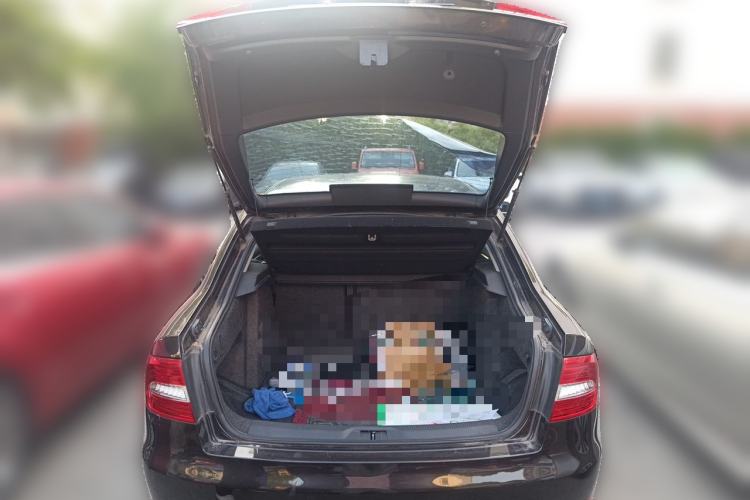 Used Skoda Superb 2013 1.4TSI DSG Sport Edition Trunk