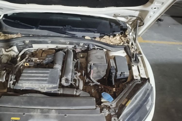Used Skoda Superb 2013 1.4TSI DSG Sport Edition Engine Bay Left