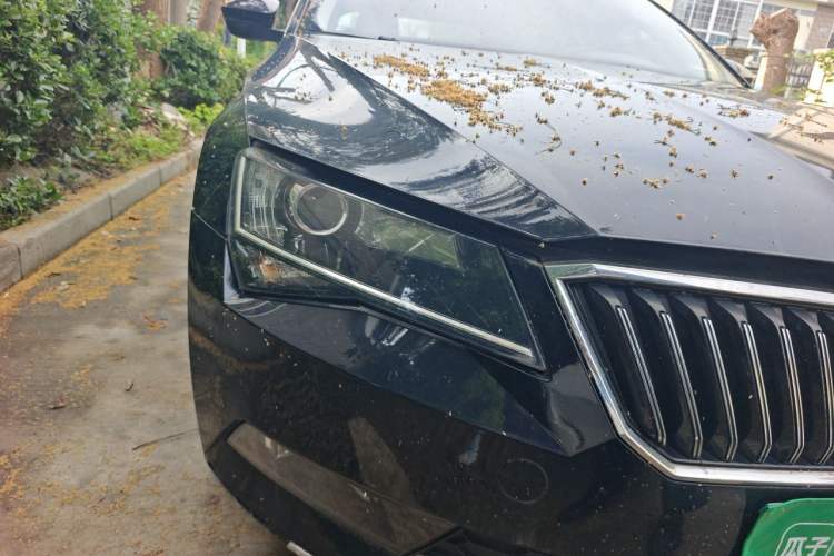 Used Skoda Superb 2016 TSI280 DSG Innovation Edition Right Front Headlight