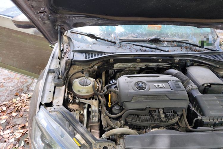 Used Skoda Superb 2016 TSI330 DSG Innovation Edition Engine Bay Right