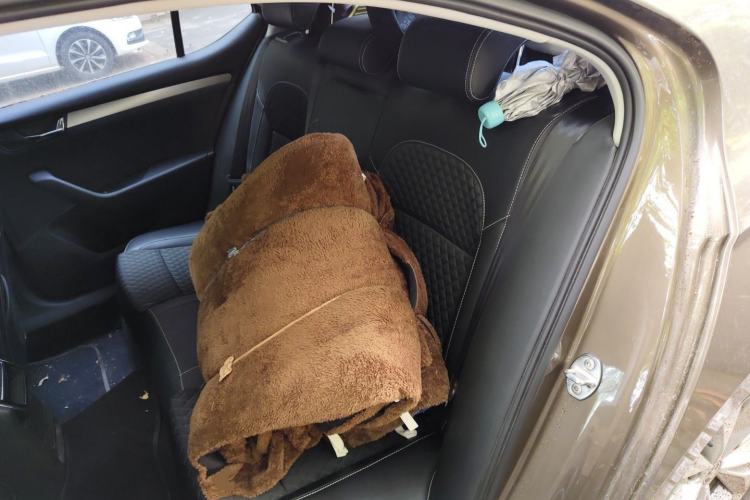 Used Skoda Superb 2016 TSI330 DSG Innovation Edition Left Rear Seat