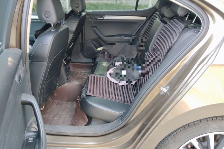 Used Skoda Superb 2016 TSI280 DSG Innovation Edition Left Rear Seat
