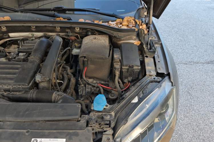 Used Skoda Superb 2018 TSI280 DSG Comfort Edition China V Standard Engine Bay Left